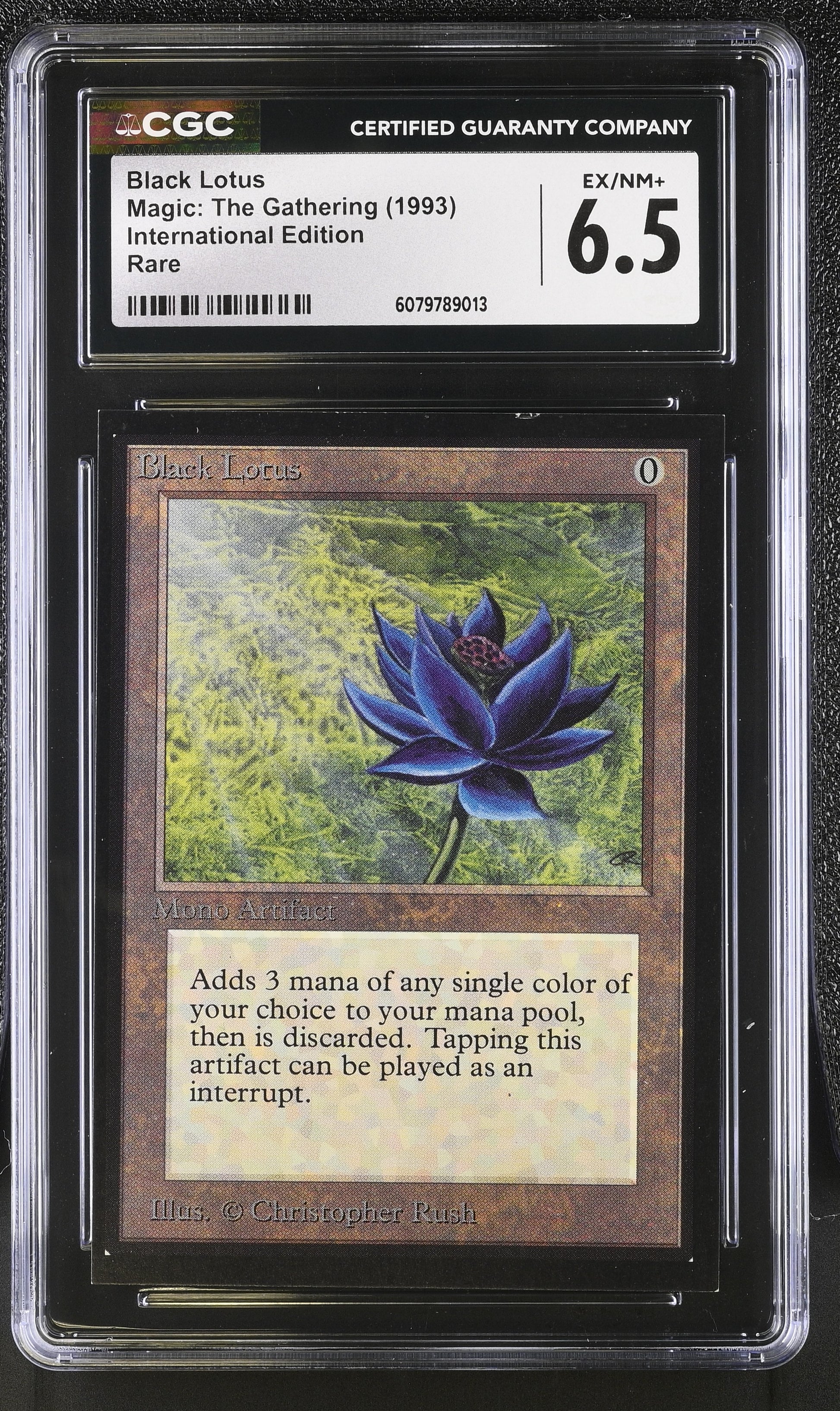 the black lotus
