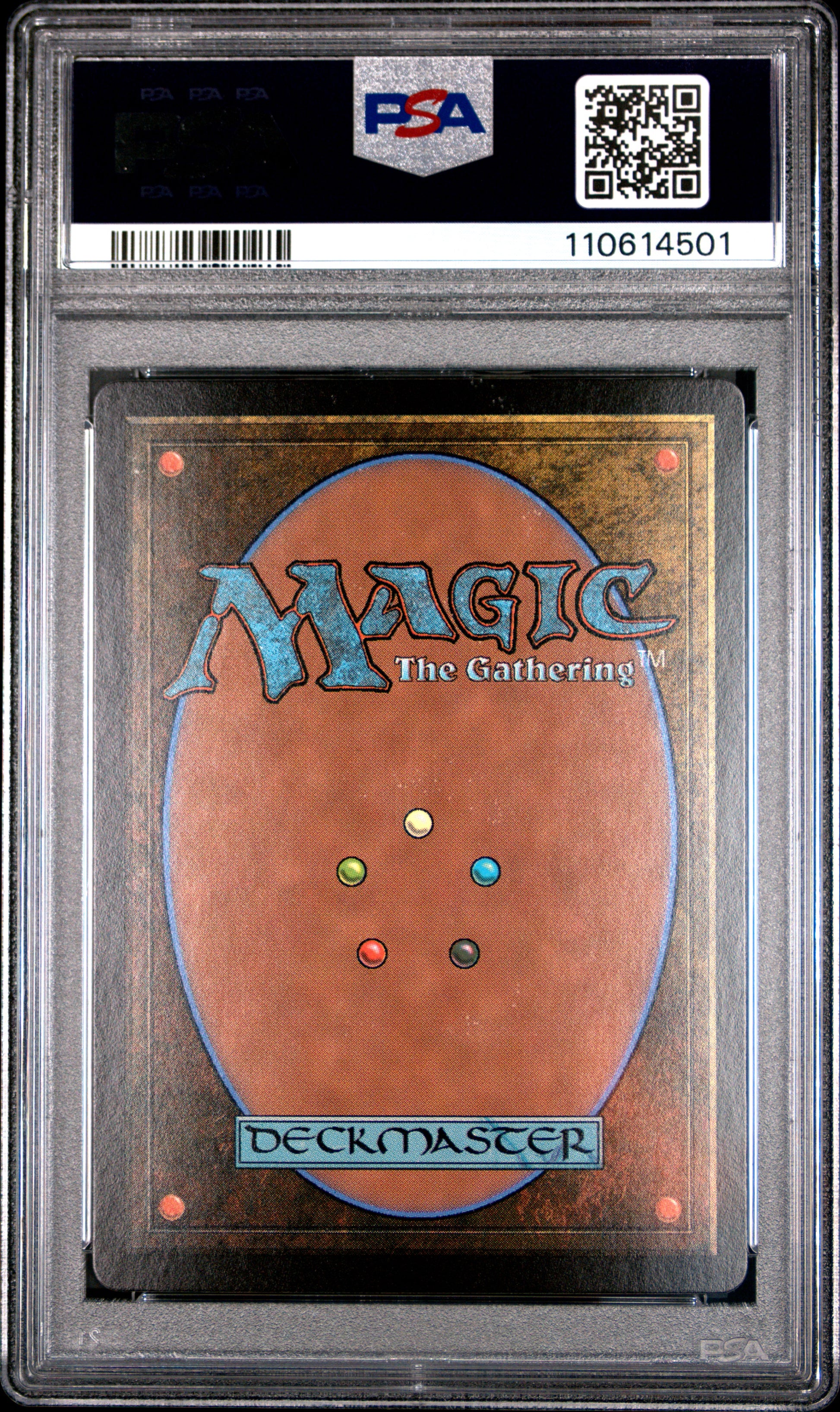 2025 MTG Innistrad Remastered Hermit Druid #488 – Movie Poster Showcase Foil – PSA 10 Gem Mint