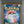 SQUIRTLE POKEMON JAPANESE SV2a-POKEMON 151 PSA 10